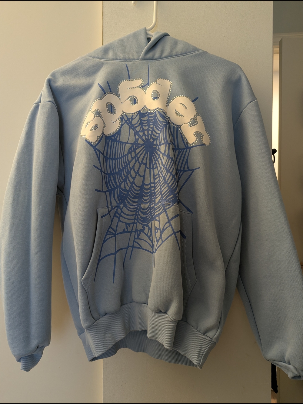 Light Blue Crewneck Hoodie with Spiderweb Graphic